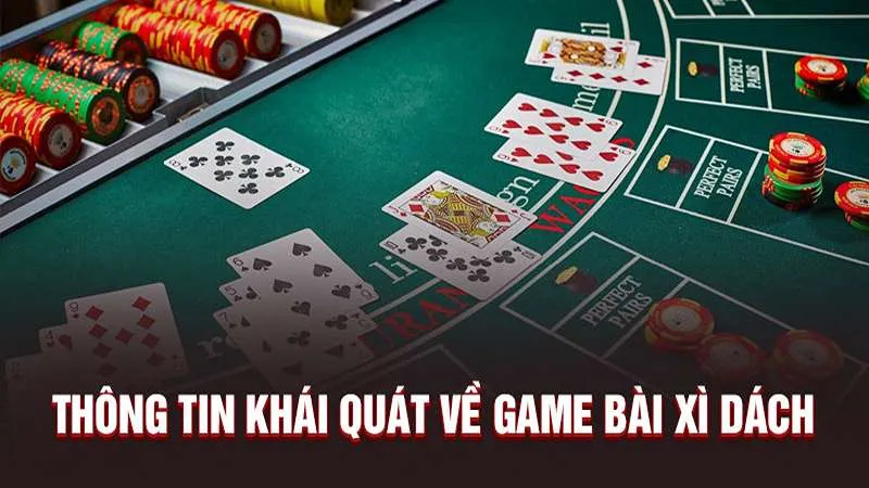 Hướng dẫn chi tiết cách chơi bài Xì Dách chuẩn nhất